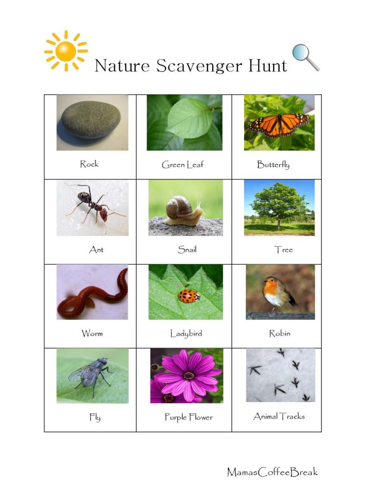 Printable Nature Scavenger Hunt | Mama's Coffee Break